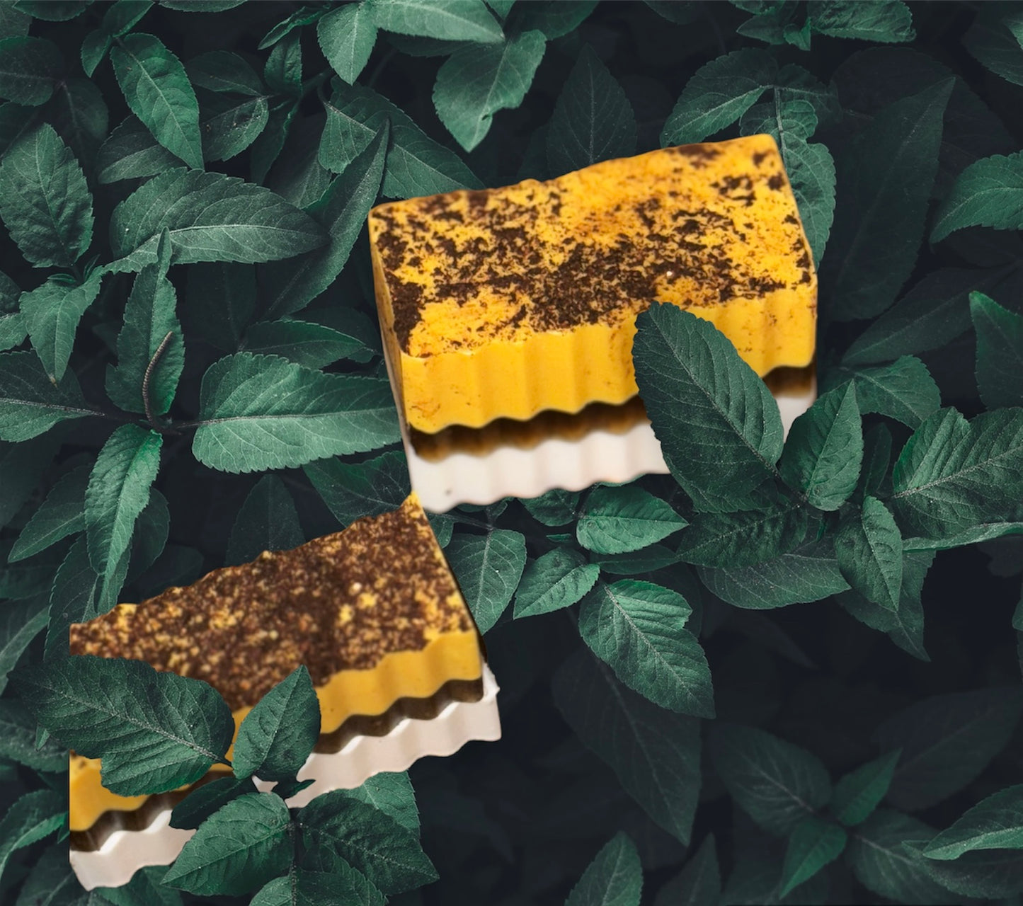 Golden Cacao Soap Bar