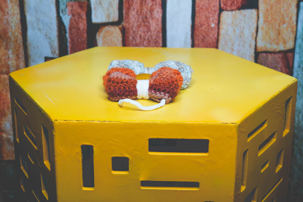 Pumpkin Spice Bow Tie