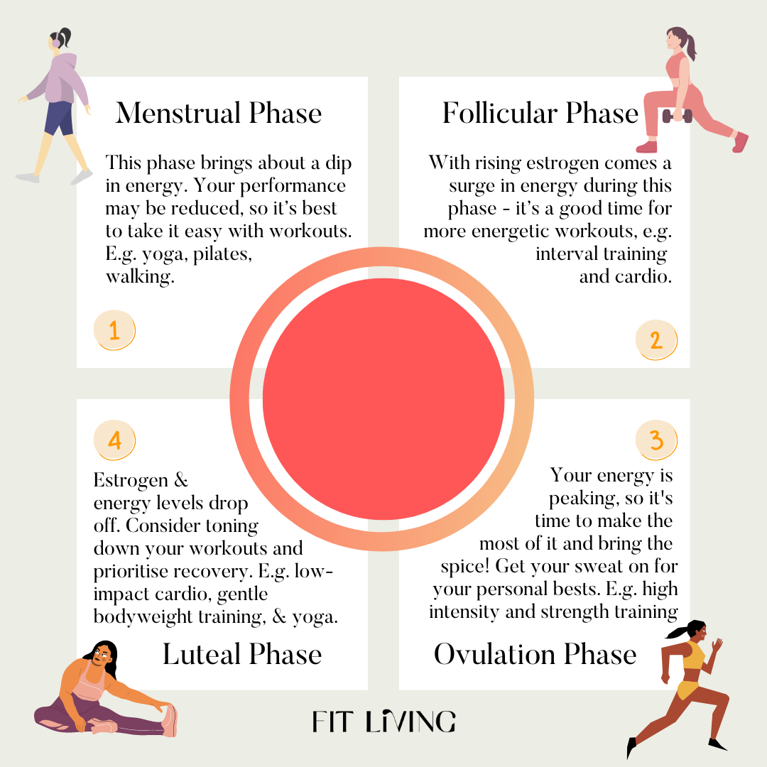 Menstrual Health Awareness: Understanding the Menstrual Cycle