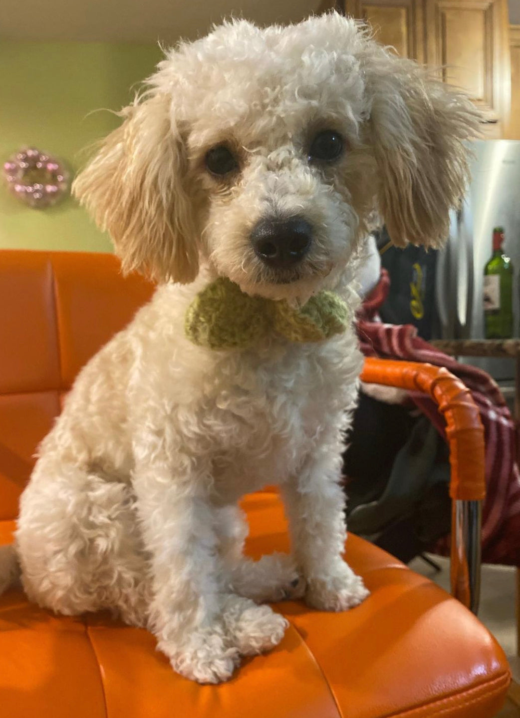 The Puppy Bow Tie